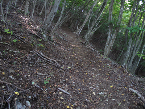 20151014hike (103)